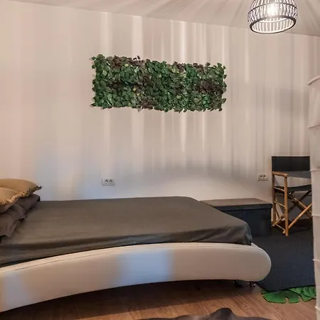 Jungle 15 Min Walk To Beach & Downtown